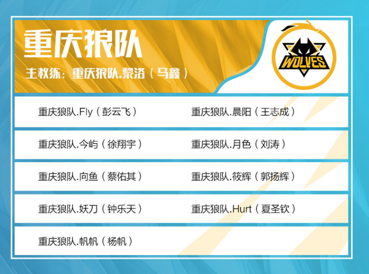 ropz 在 Vitality 中：“我们在关键时刻依靠胜利，这就是我在这里的原因”